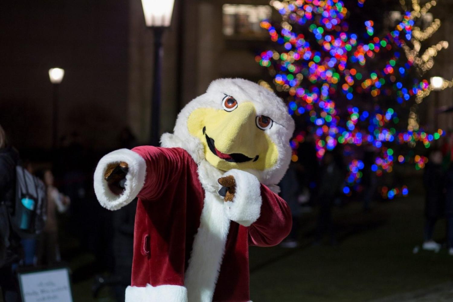 Baldwin in Santa gear