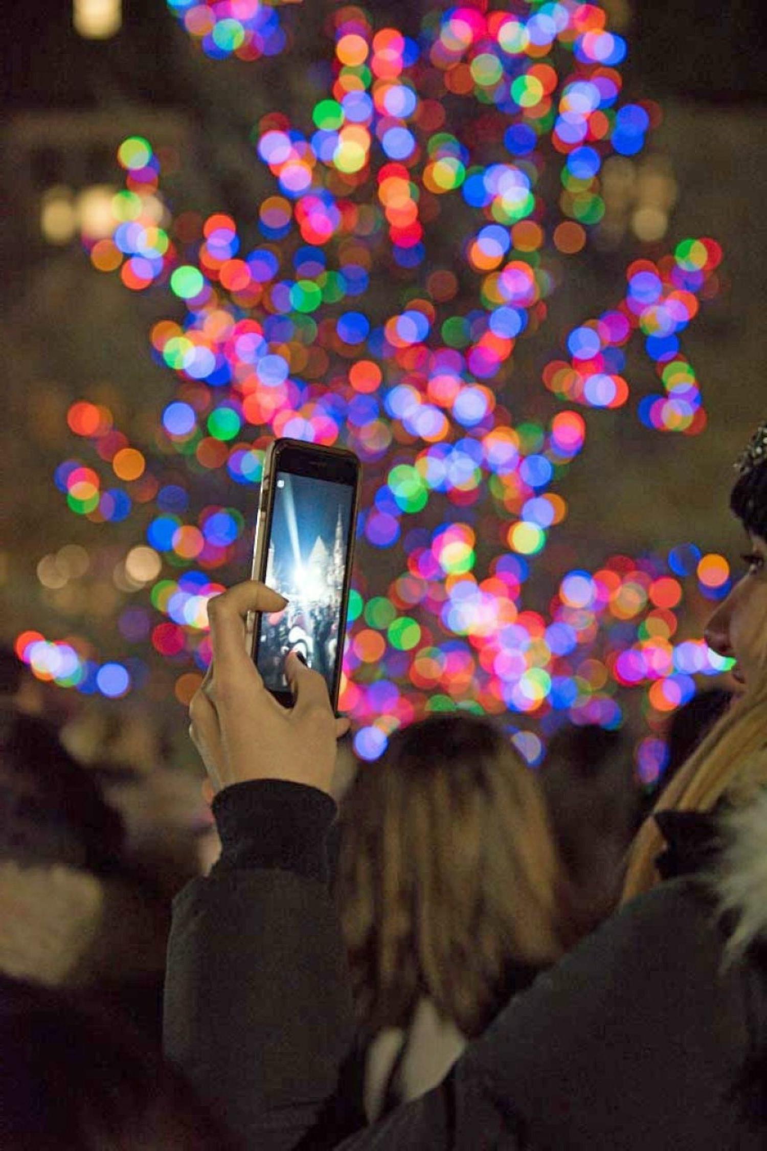 Student photographing the tree