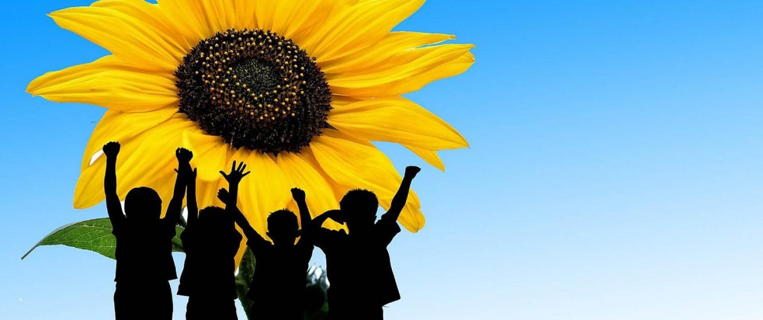 Children silhouettes against sunflower